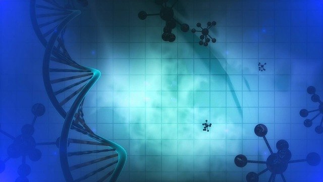 dna photo